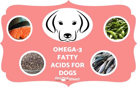 dog omega 3 dose|omega 3 fatty acids dog.